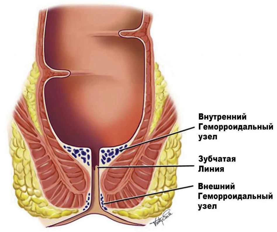 kartinka-uro_pro2.jpg kartinka-uro_pro2.jpg