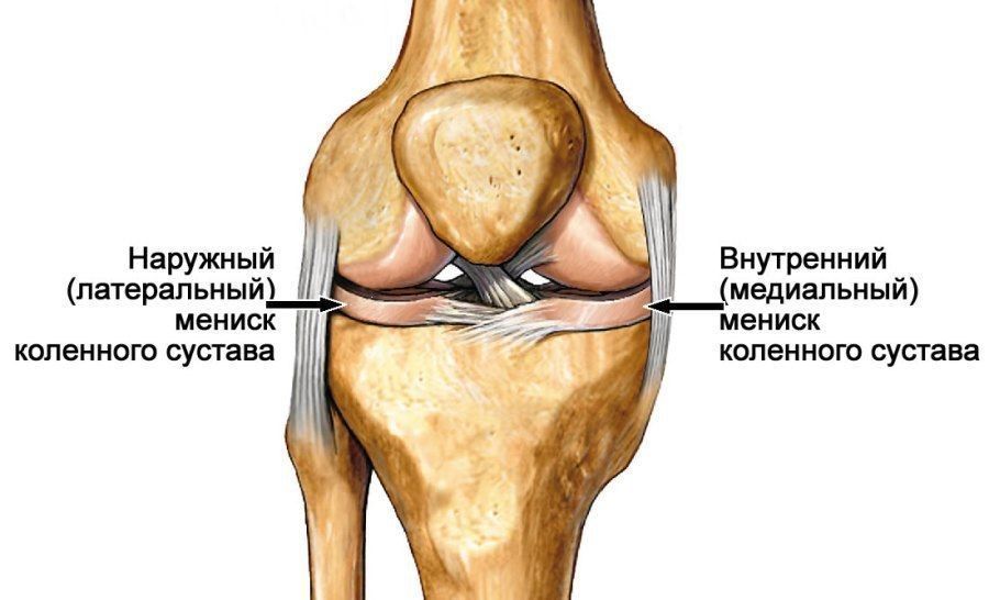 Коленный сустав