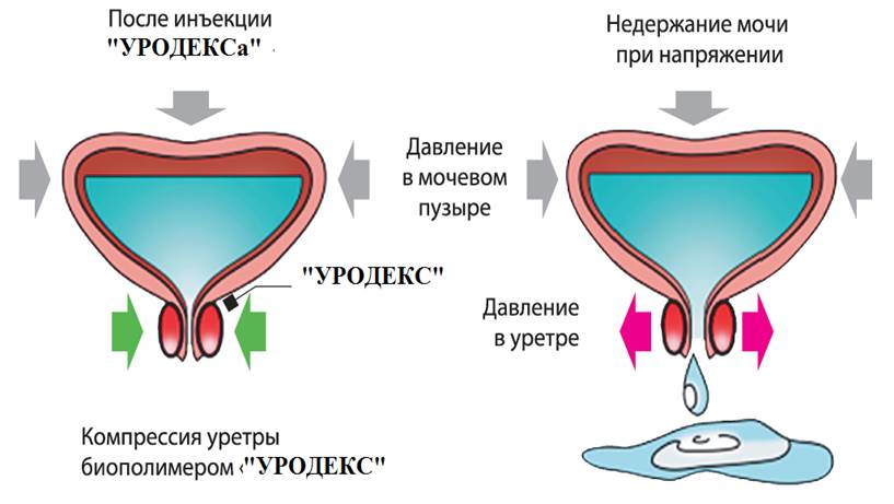 Детская поликлиника одинцово расписание